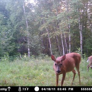 Meet your Posher, Lori